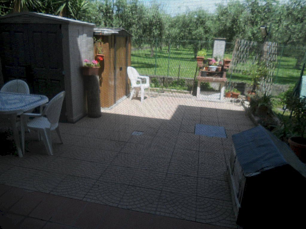 DSCN5510.jpg - Terratetto - Terracielo Via Nerchia 23, Sarzana - foto 2