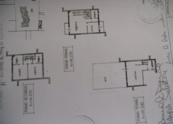 DSCN5544.jpg - Terratetto - Terracielo Via Nerchia 23, Sarzana - foto 4