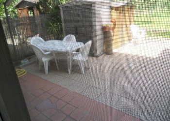 DSCN5511.jpg - Terratetto - Terracielo Via Nerchia 23, Sarzana - foto 10