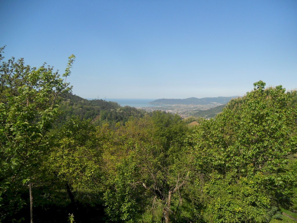 DSCN4978.jpg - Townhouse Via Carbonara 33, Castelnuovo Magra - photo 3