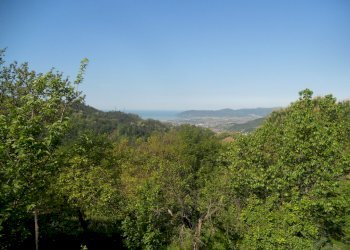 DSCN4978.jpg - Townhouse Via Carbonara 33, Castelnuovo Magra - photo 3