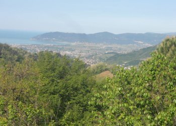 DSCN4979.jpg - Townhouse Via Carbonara 33, Castelnuovo Magra - photo 4