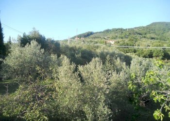 DSCN1278.jpg - Villa Via Montefrancio 69, Castelnuovo Magra - photo 7