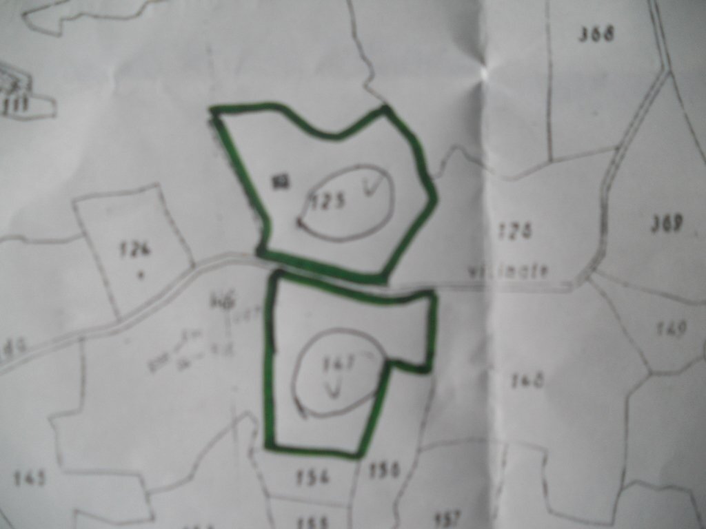 DSCN1659.jpg - Agricultural land Via Vittorio Veneto 55, Castelnuovo Magra - photo 2