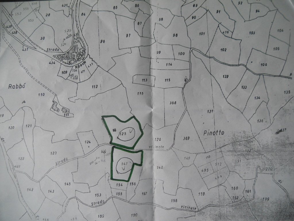 DSCN1658.jpg - Agricultural land Via Vittorio Veneto 55, Castelnuovo Magra - photo 1