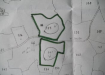 DSCN1659.jpg - Terreno agricolo Via Vittorio Veneto 55, Castelnuovo Magra - foto 2