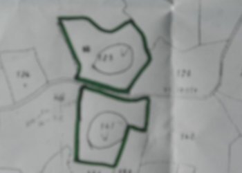 DSCN1660.jpg - Terreno agricolo Via Vittorio Veneto 55, Castelnuovo Magra - foto 6