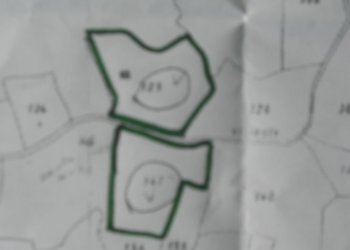 DSCN1661.jpg - Terreno agricolo Via Vittorio Veneto 55, Castelnuovo Magra - foto 7