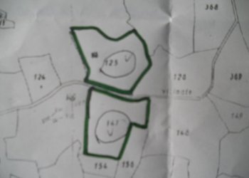 DSCN1662.jpg - Terreno agricolo Via Vittorio Veneto 55, Castelnuovo Magra - foto 8