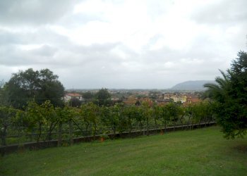 DSCN5167.jpg - Villa Via Palvotrisia 92, Castelnuovo Magra - photo 10