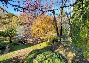 20221207_113638.jpg - Villa Via Ghigliolo Alto 28, Sarzana - foto 28