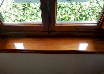 20190612_100158.jpg - Villa Viale Guglielmo Marconi, Lucca - foto 6