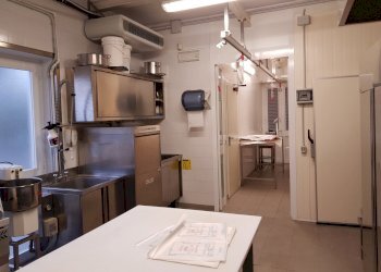 20191017_163248.jpg - Locale Commerciale Via Pisana, Lucca - foto 16