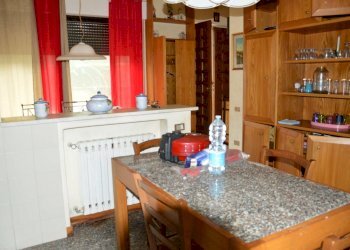 DSC_0016.JPG - Villa Via della Chiesa XXIV, Lucca - foto 12