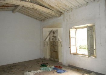 filenile-lucca-vendita06.jpg - Terratetto - Terracielo Via della Bordogna, Lucca - foto 10