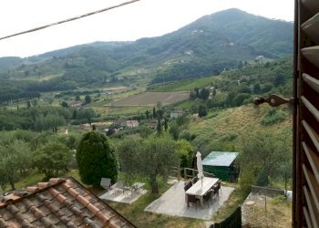 20190621_175142.jpg - Terratetto - Terracielo via di matraia, Lucca - foto 4