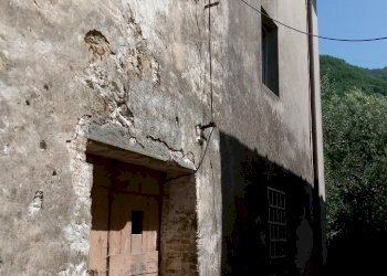 20190622_110554.jpg - Terratetto - Terracielo via di matraia, Lucca - foto 5