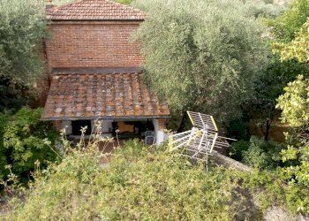 20190621_175234.jpg - Terratetto - Terracielo via di matraia, Lucca - foto 8