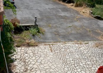 20190622_110129.jpg - Terratetto - Terracielo via di matraia, Lucca - foto 10