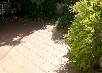 20190622_110137.jpg - Terratetto - Terracielo via di matraia, Lucca - foto 11