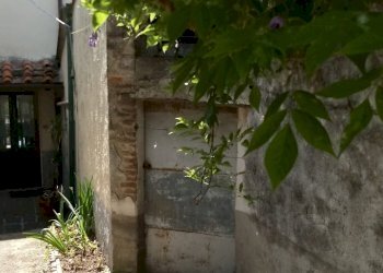 20190622_110603.jpg - Terratetto - Terracielo via di matraia, Lucca - foto 14