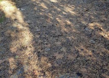 20190206_100004.jpg - Ufficio Via Pesciatina, Capannori - foto 16