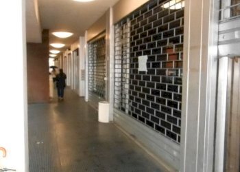 DSCN9561.JPG - Locale Commerciale Via Augusto Passaglia, Lucca - foto 19