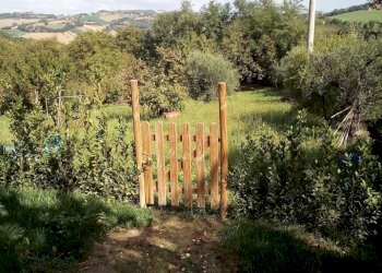 017 MONSAMPIETRO MORICO - Casa rurale in pietra e - Rustico Monsampietro Morico - foto 17