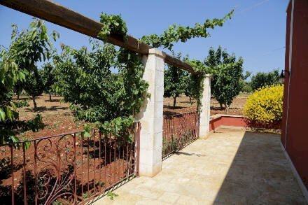 04.jpg - Agriturismo Castellana Grotte - foto 2