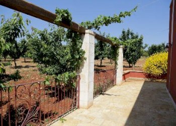 04.jpg - Agriturismo Castellana Grotte - foto 2