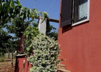 06.jpg - Agriturismo Castellana Grotte - foto 20