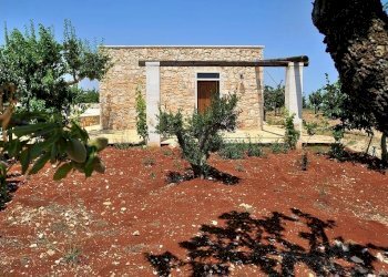 017.JPG - Agriturismo Castellana Grotte - foto 15