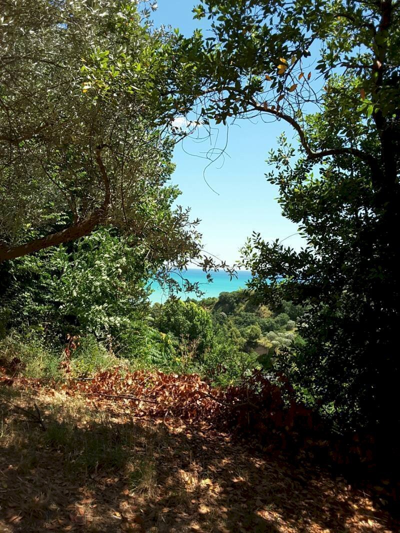 0013.jpg - Villa Cupra Marittima - foto 1