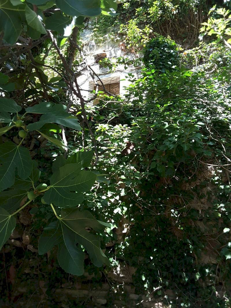 0017.jpg - Villa Cupra Marittima - foto 3