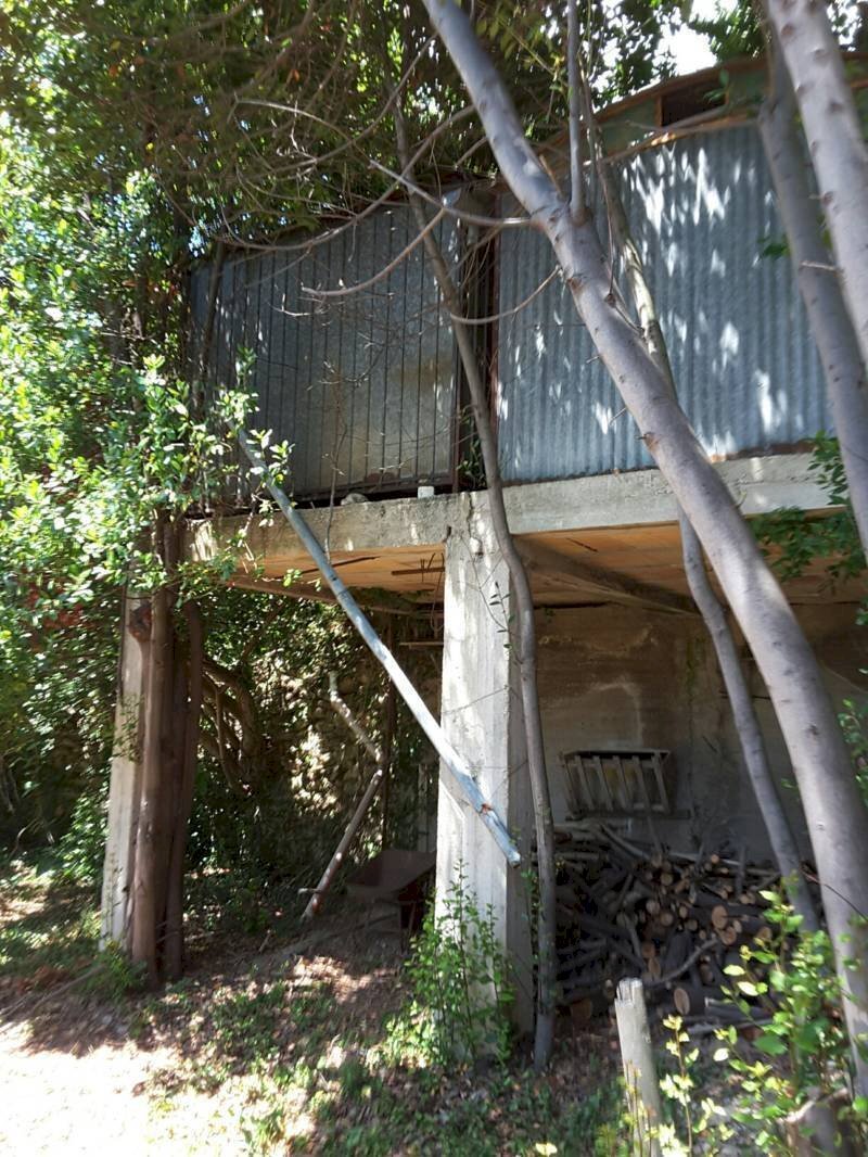 0014.jpg - Villa Cupra Marittima - foto 2