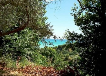 0013.jpg - Villa Cupra Marittima - foto 1