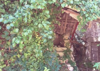 0012.jpg - Villa Cupra Marittima - foto 4