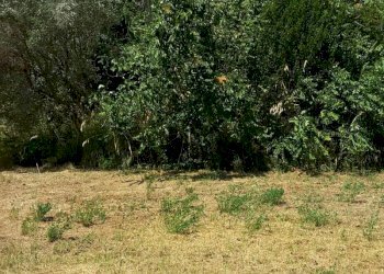 001.jpg - Villa Cupra Marittima - foto 5