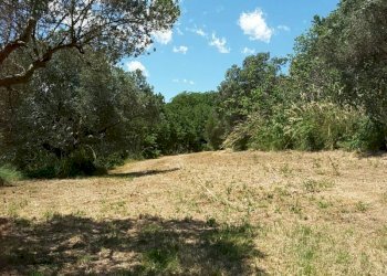 002.jpg - Villa Cupra Marittima - foto 6