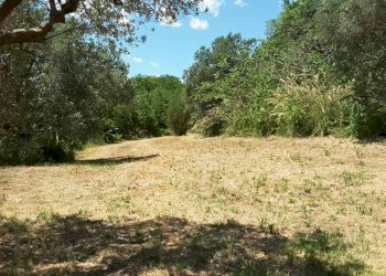 003.jpg - Villa Cupra Marittima - foto 7