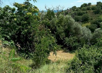 005.jpg - Villa Cupra Marittima - foto 9