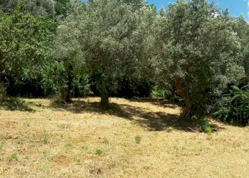 006.jpg - Villa Cupra Marittima - foto 10