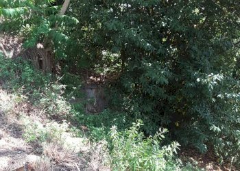 009.jpg - Villa Cupra Marittima - foto 13