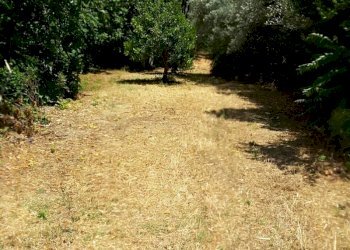 0015.jpg - Villa Cupra Marittima - foto 16