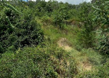 0016.jpg - Villa Cupra Marittima - foto 17