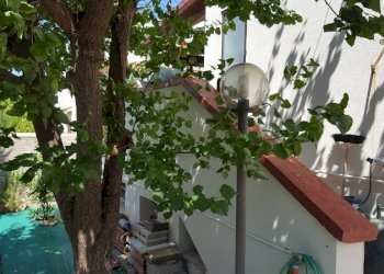 giardino - Villa a Schiera Carovigno - foto 19