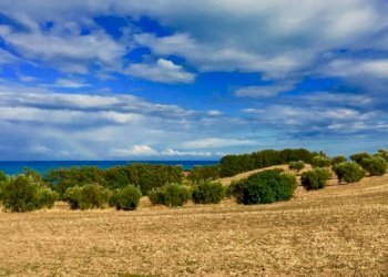 05.jpg - Casale Cupra Marittima - foto 5