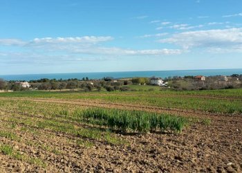 015.jpg - Casale Cupra Marittima - foto 15