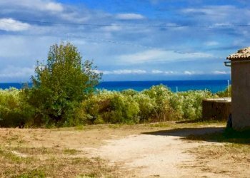 02.jpg - Agricultural land Cupra Marittima - photo 1