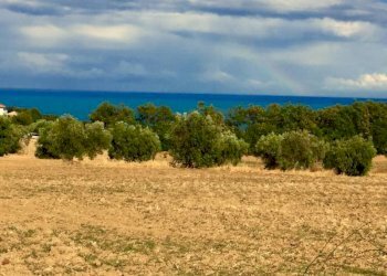 03.jpg - Agricultural land Cupra Marittima - photo 3